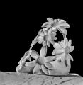 [02] 'Margherite', marmo statuario